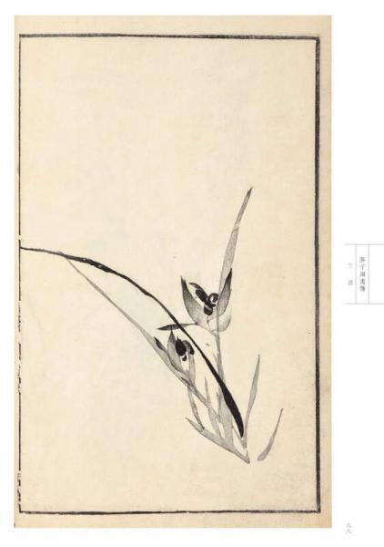 芥子园画传 花鸟卷·兰谱