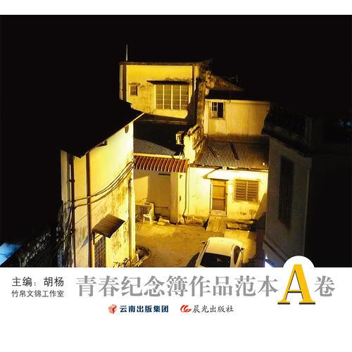 光年-青春纪念簿作品范本A卷 你是明媚 我是阳光