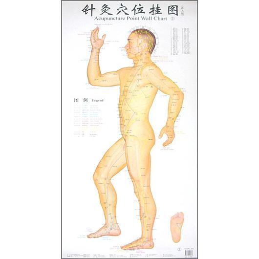 針灸穴位掛圖 : 真人版