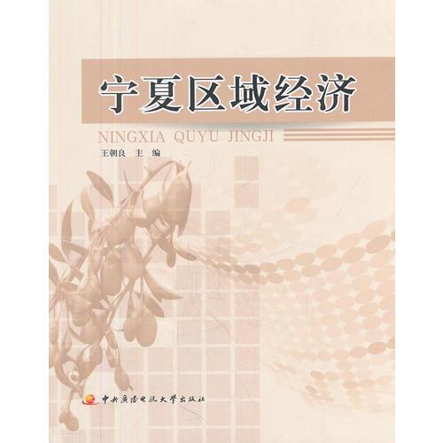 寧夏區(qū)域經(jīng)濟(jì)（含1張光盤、含考核冊）