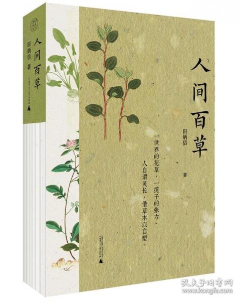 純粹·人間百草
