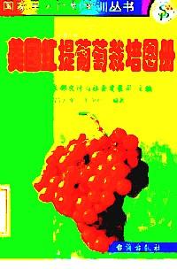 櫻桃番茄栽培新技術(shù)