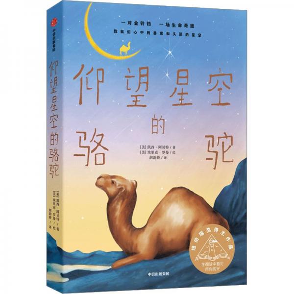 仰望星空的駱駝