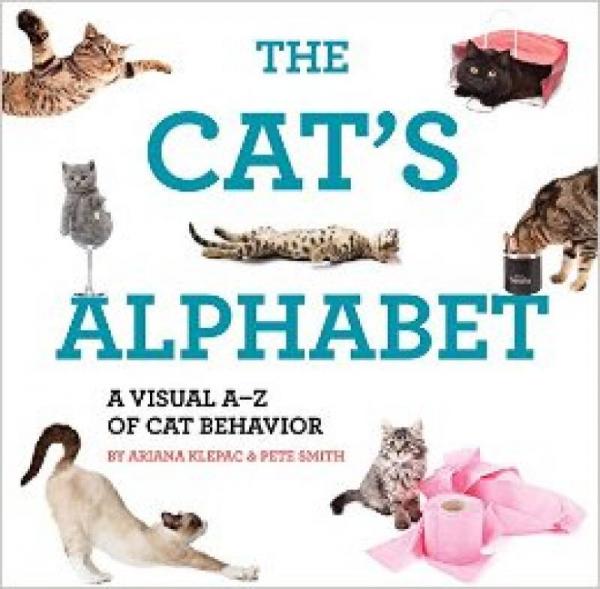 The Cat Alphabet  A Visual A-Z of Cat Behavior