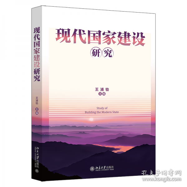 現(xiàn)代國家建設研究