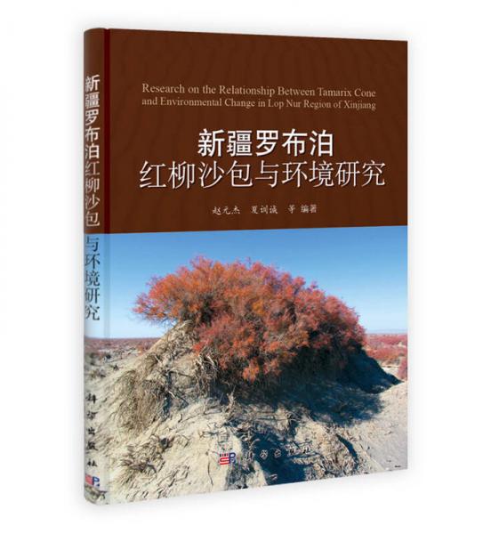 新疆罗布泊红柳沙包与环境研究