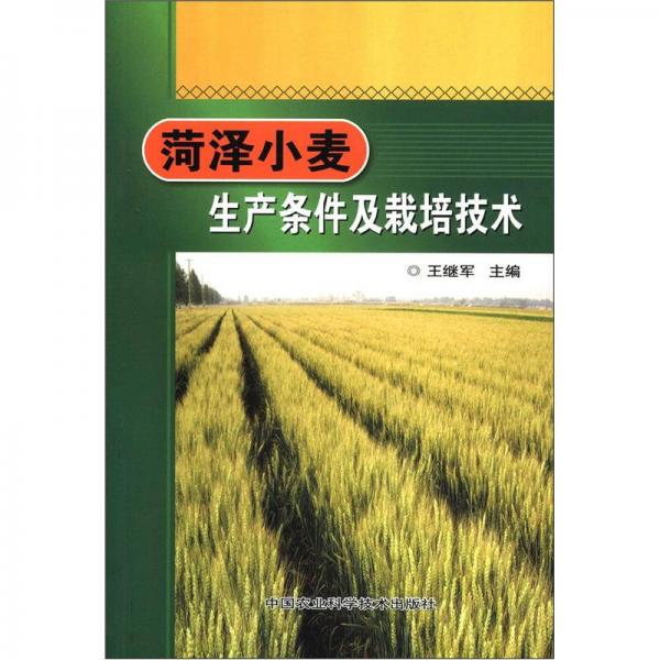 菏泽小麦生产条件及栽培技术