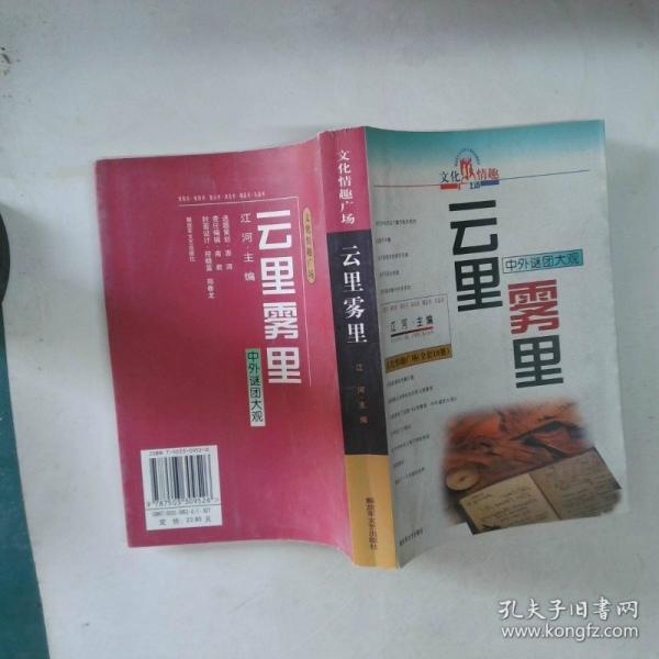 云里雾里:中外谜团大观