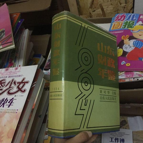 山東財(cái)政年鑒.1994