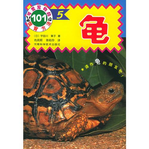 龜