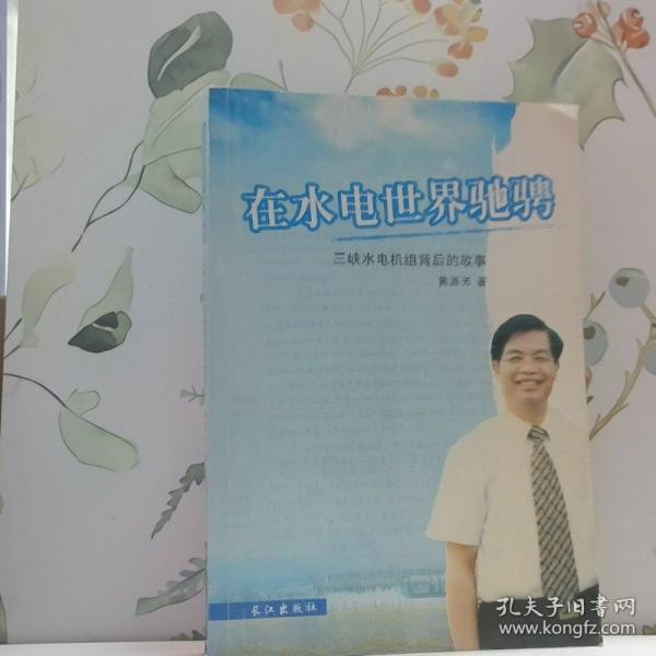 在水電世界馳騁:三峽水電機(jī)組背后的故事
