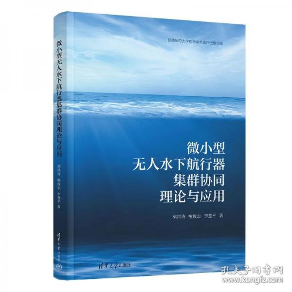 微小型無(wú)人水下航行器集群協(xié)同理論與應(yīng)用