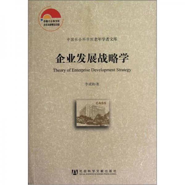 企業(yè)發(fā)展戰(zhàn)略學(xué)