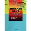 薄煤層高產(chǎn)高效開采技術(shù)