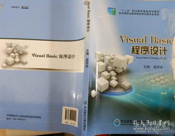 Visual Basic程序設(shè)計