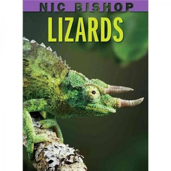 Nic Bishop: Lizards 尼克·毕希普系列：蜥蜴