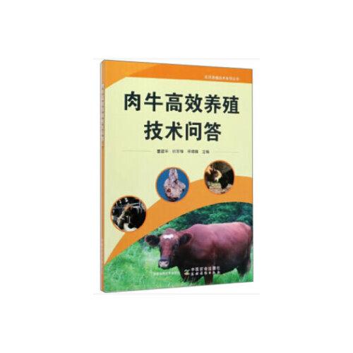肉牛高效養(yǎng)殖技術(shù)問答