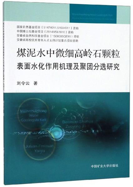 煤泥水中微細高嶺石顆粒表面水化作用機理及聚團分選研究