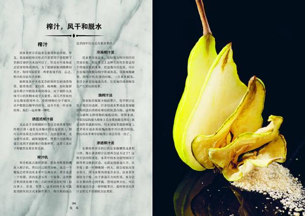 好奇的调酒师：全面掌握调制完美鸡尾酒技艺的精髓