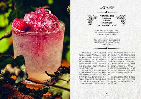 好奇的调酒师：全面掌握调制完美鸡尾酒技艺的精髓