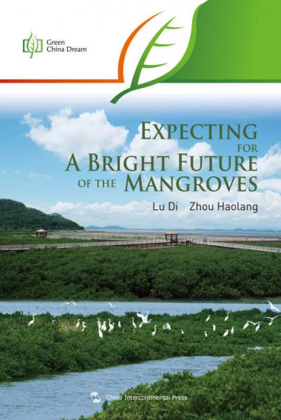 绿色中国梦系列：守望红树林