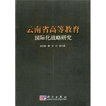 云南省高等教育国际化战略研究