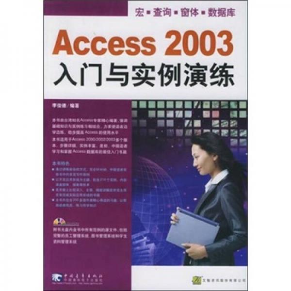 Access 2003 入门与实例演练