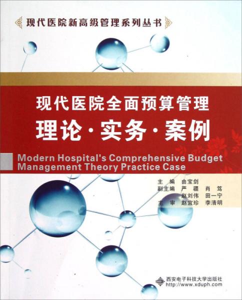 现代医院新高级管理系列丛书·现代医院全面预算管理：理论·实务·案例