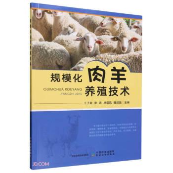 全新正版图书 规模化肉羊养殖技术王子璇中国农业出版社9787109311084