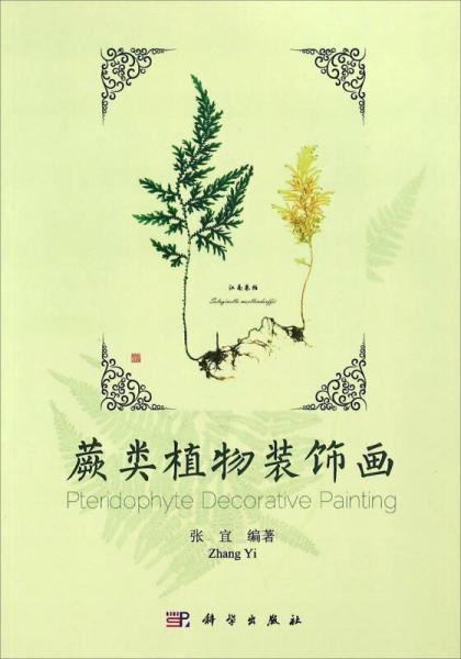 蕨类植物装饰画