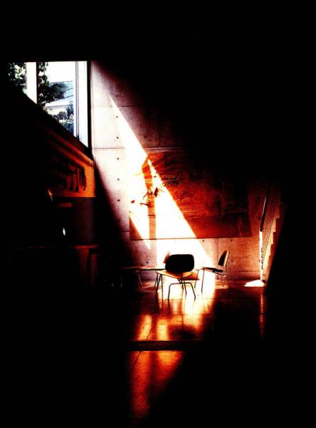 Tadao Ando: Houses[房子设计]