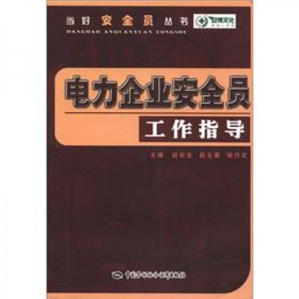 當(dāng)好安全員叢書(shū)：電力企業(yè)安全員工作指導(dǎo)