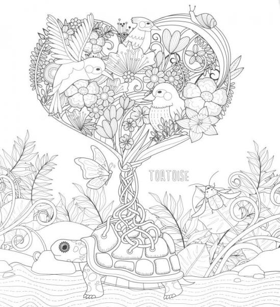 魔法动物：穿越色彩梦境的奇幻之旅