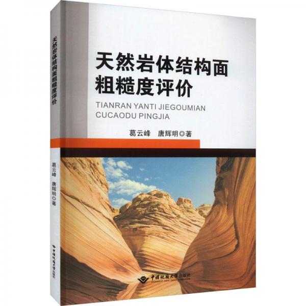 天然巖體結(jié)構(gòu)面粗糙度評價