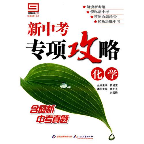 新中考专项攻略：化学