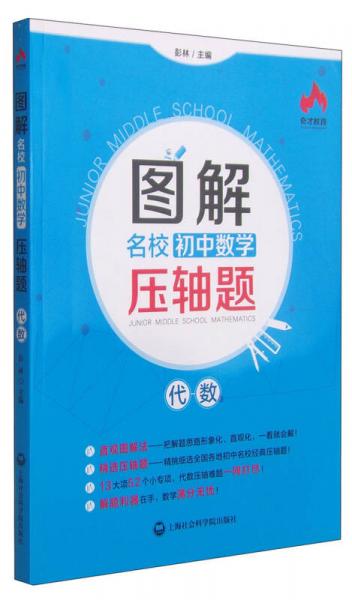 奇才教育·图解名校初中数学压轴题：代数