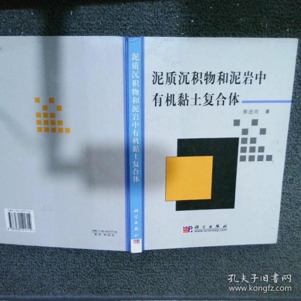 泥質(zhì)沉積物和泥巖中有機黏土復(fù)合體