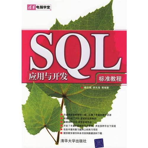 SQL应用与开发标准教程
