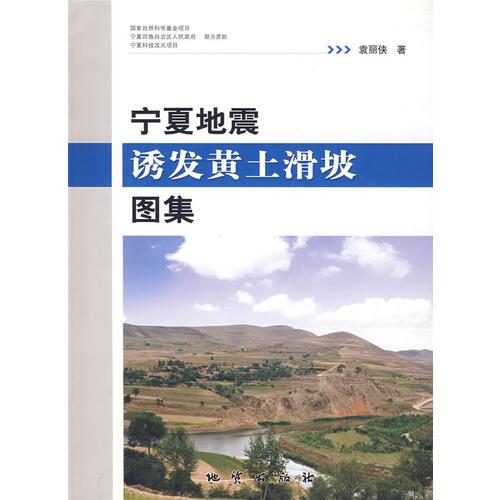 寧夏地震誘發(fā)黃土滑坡圖集