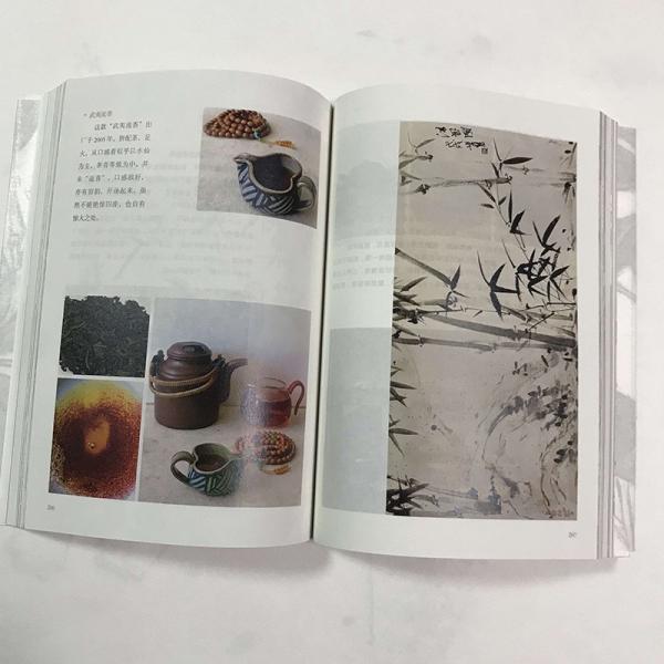 庚子春一日一茶