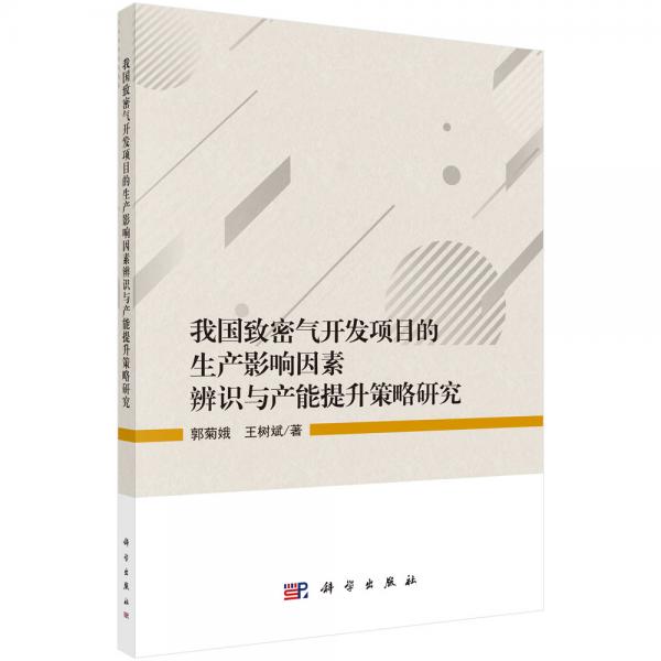 我國致密氣開發(fā)項(xiàng)目的生產(chǎn)影響因素辨識(shí)與產(chǎn)能提升策略研究