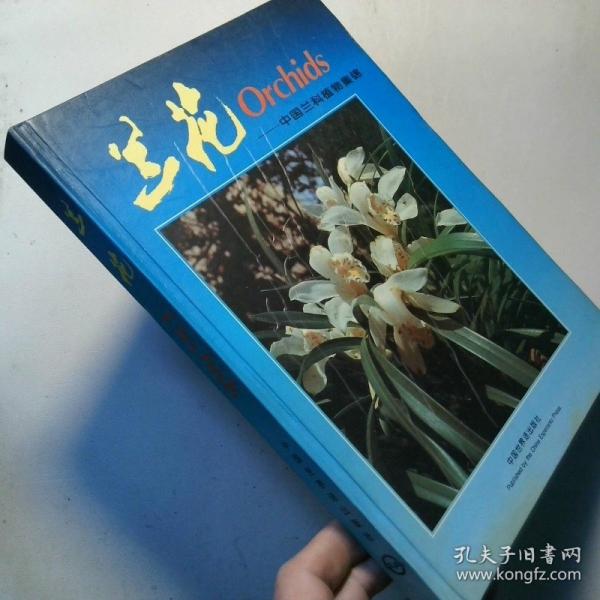 蘭花:中英文對(duì)照