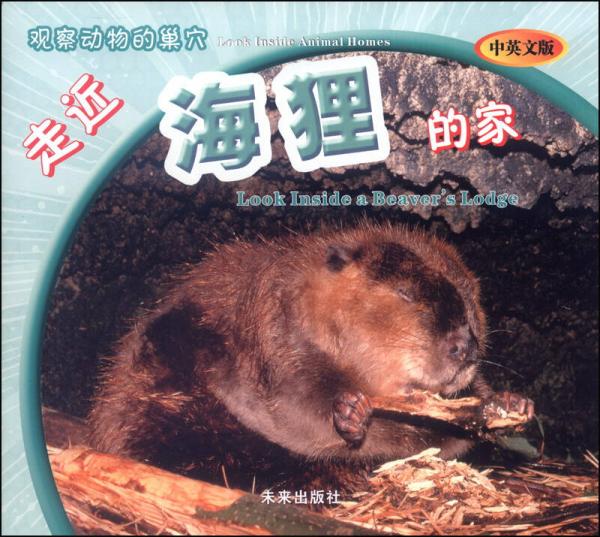 觀察動物的巢穴：走近海貍的家（中英文版）