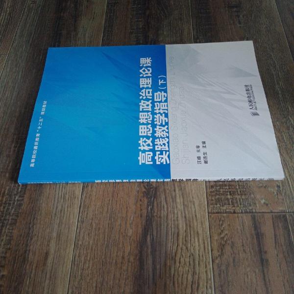 高校思想政治理論課實踐教學(xué)指導(dǎo). 下