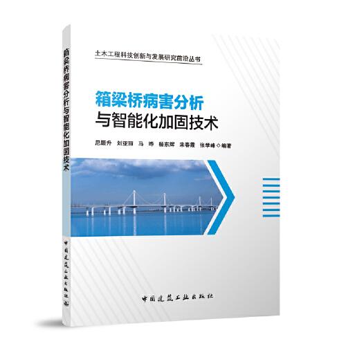 箱梁桥病害分析与智能化加固技术