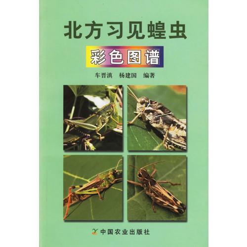 北方習見蝗蟲彩色圖譜