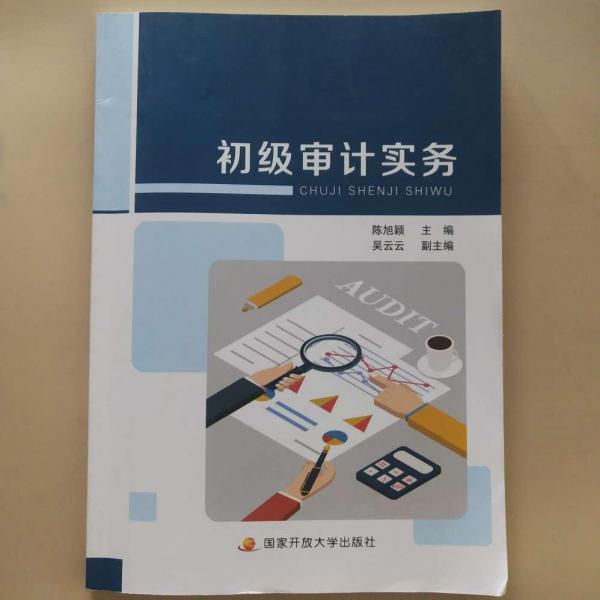 初级审计实务 [陈旭颖, 主编]