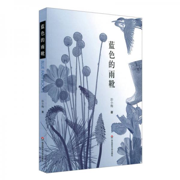 藍(lán)色的雨靴