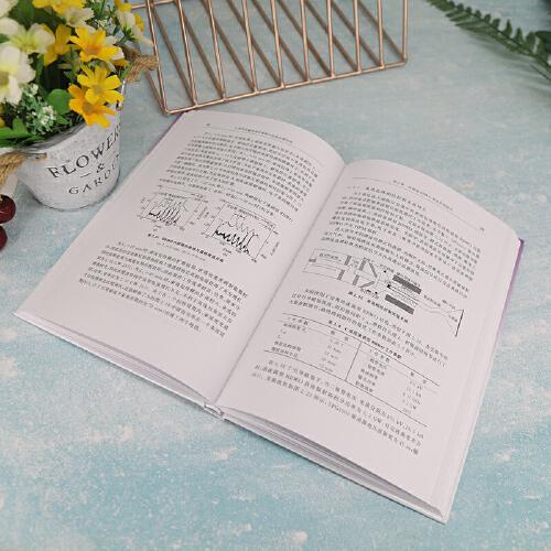 C波段低磁场高效率相对论返波管研究