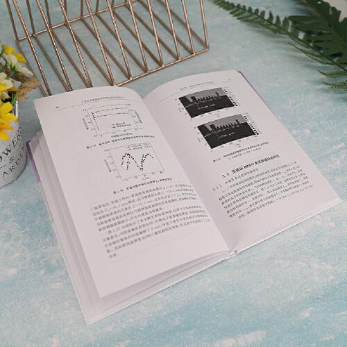 C波段低磁场高效率相对论返波管研究